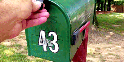 puppy_mail
